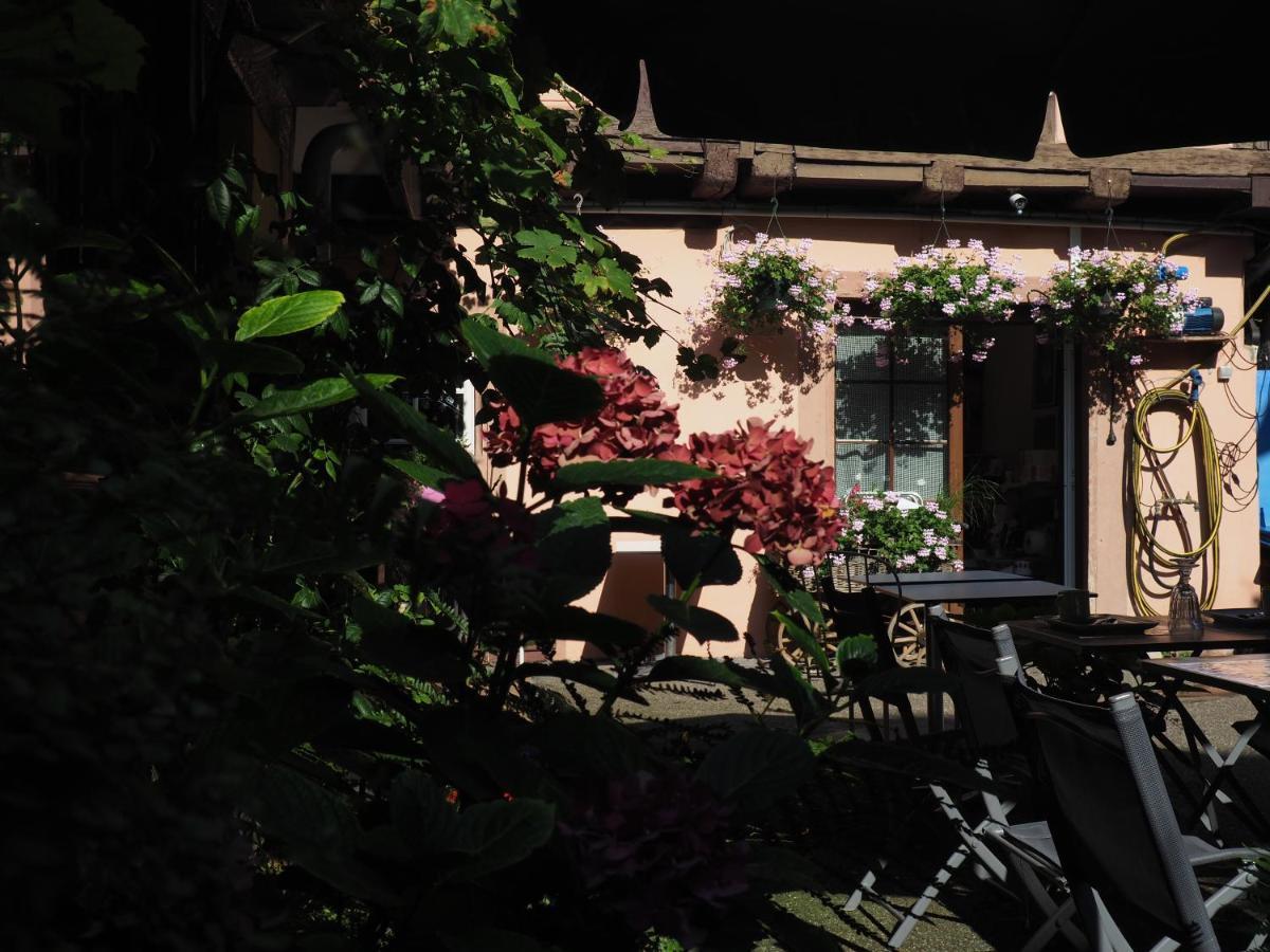 Chambres D'Hotes Chez Caroline Κολμάρ Εξωτερικό φωτογραφία